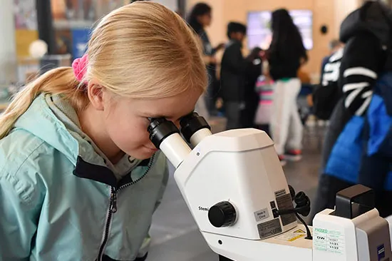 A young girl looks through a microscope